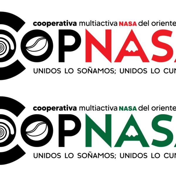 COOPERATIVA MULTIACTIVA NASA DEL ORIENTE CAUCANO “COOPNASA” CONVOCATORIA No 001 DE 2024 DESIGNACIÓN DEL GERENTE O REPRESENTANTE LEGAL DE LA COOPERATIVA MULTIACTIVA NASA DEL ORIENTE CAUCANO “COOPNASA”