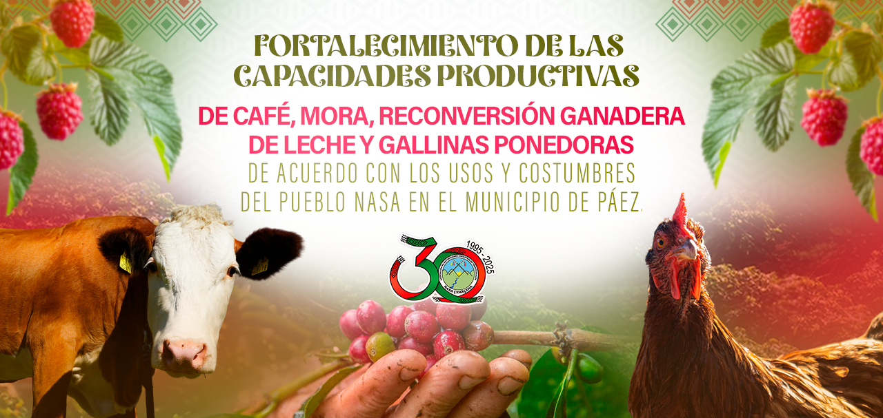 TDR Puuz Ya’ja Producción -proyecto “fortalecimiento de las capacidades productivas de café, mora, reconversión ganadera de leche y gallinas ponedoras de acuerdo con los usos y costumbres del pueblo Nasa en el municipio de Páez”