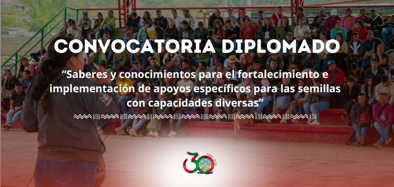 Convocatoria Diplomado “Saberes y conocimientos para el fortalecimiento e implementación de apoyos específicos para las semillas con capacidades diversas”